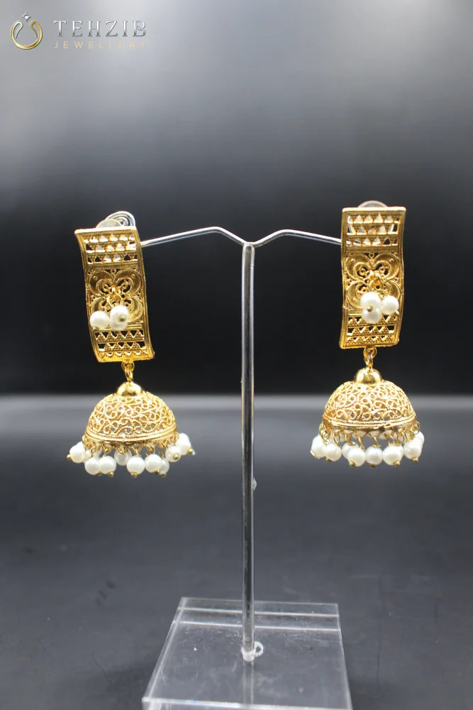 Ethnic Danglers Earning