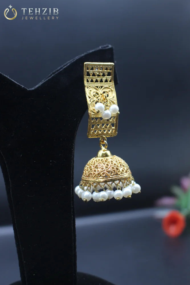 Ethnic Danglers Earning